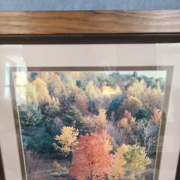Vintage Autumn Fall Photography Wall Hanging Framed and Matted J Palmer 1988 - Picture 3 of 16